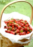 basket of berries
